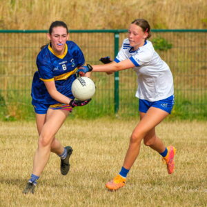 sw Éire Óg V Carnew Emmets-5869